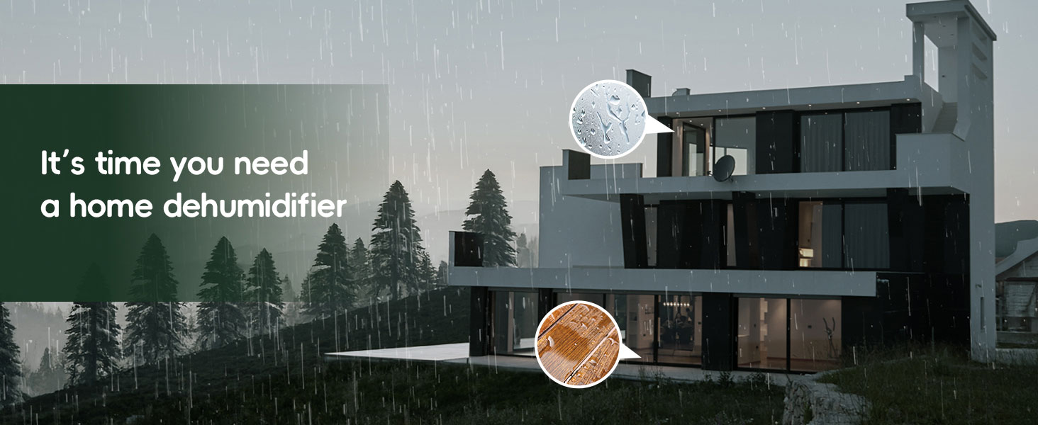 Dehumidifier