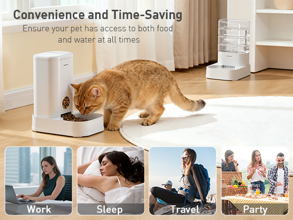 automatic cat feeder