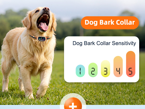 2-in-1 Dog Shock Collar and Bark Collar