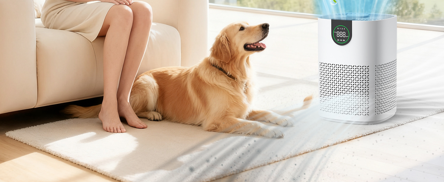 air purifiers for home