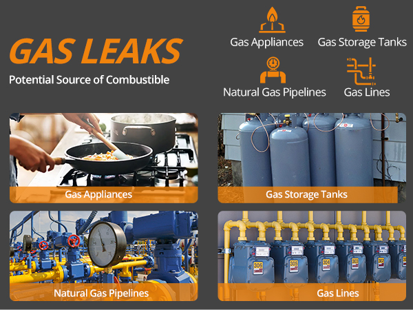 Gas Leak Detector