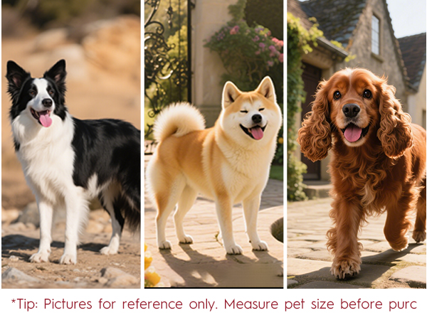 Bruvoalon Dog Harness Comes with Precise Sizing for Medium - Sized Dogs