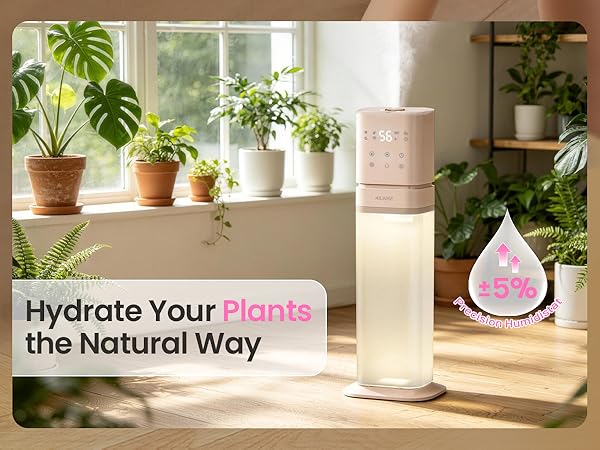 humidifier for plants