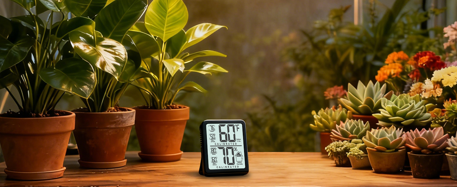 hygrometer indoor humidity