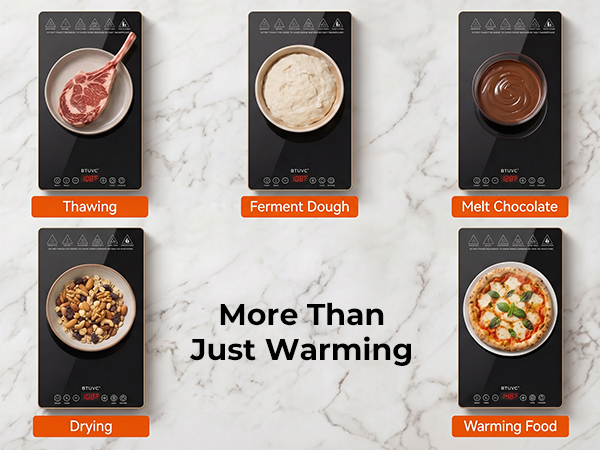 defrosting tray