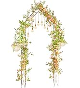 Metal Garden Arch Trellis with Hooks, 8.5ft Garden Arbors and Arches for Climbing Plants Outdoor,...