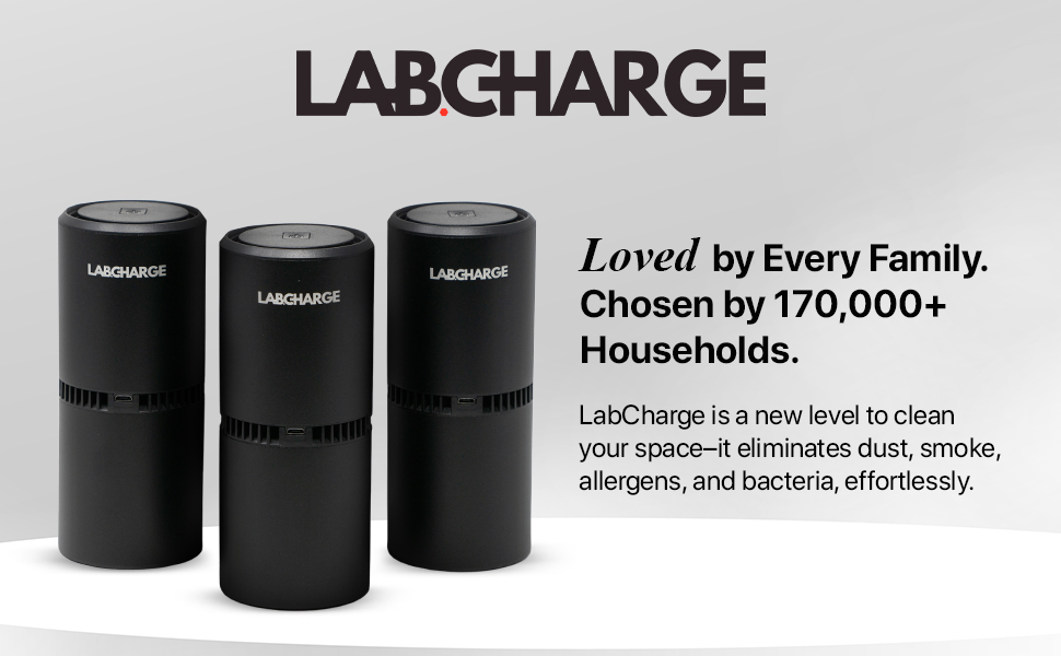 cosa poner olor gatos con puroair large room filterless dehumidifier dust on desk