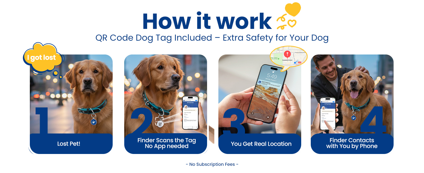 dog id tag 4