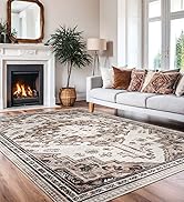 5x7 Area Rugs for Living Room