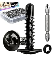 mxuteuk 420PCS #8×3/4" Self Tapping Screws,410 Stainless Steel Self Drilling Screws,Phillips Modi...