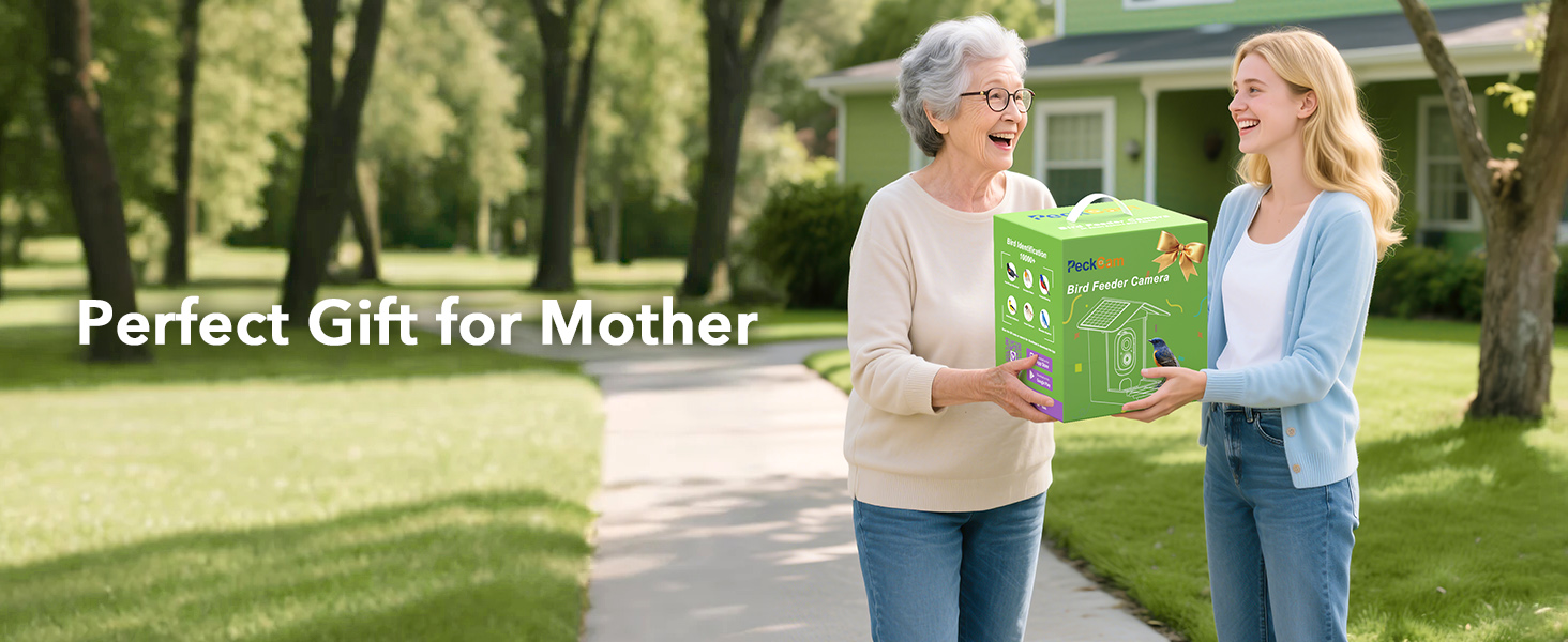 smart bird feeder with camera solar powered