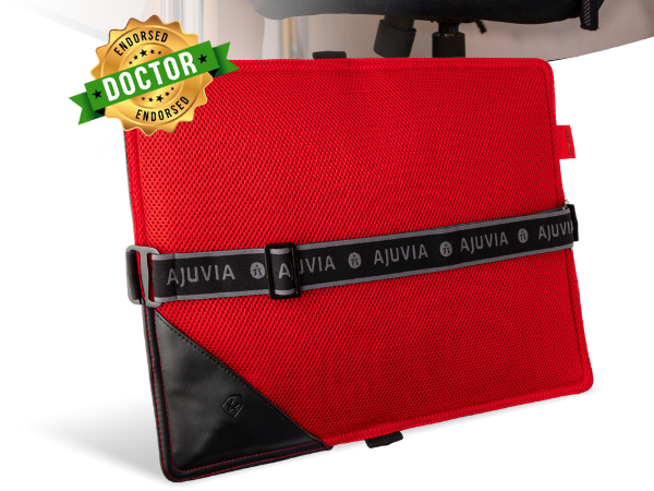 lumbar support cushion