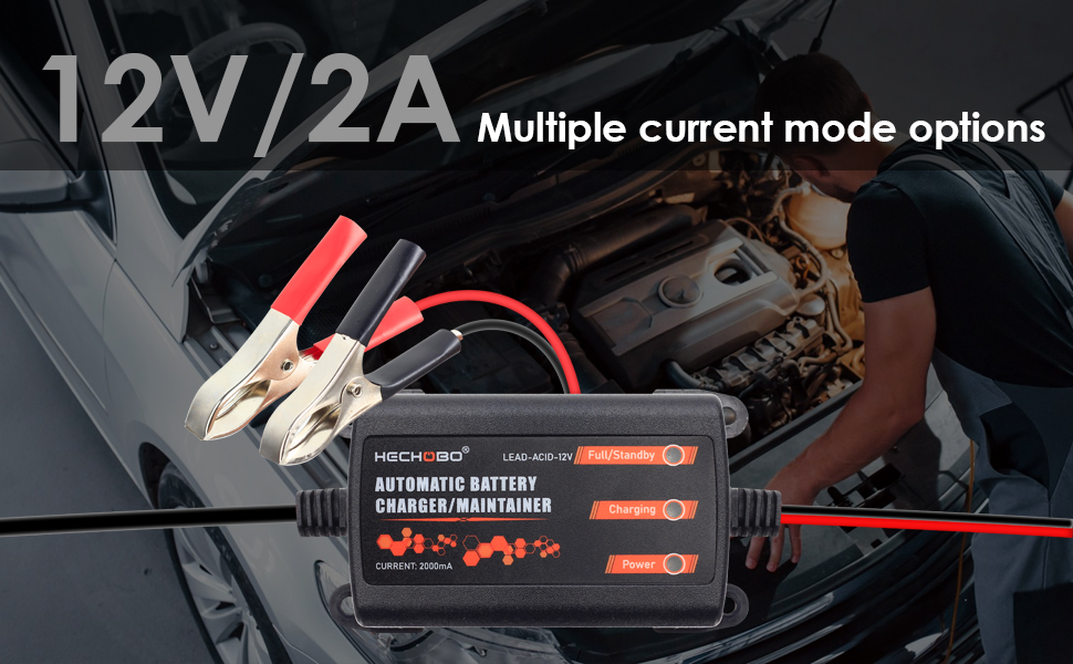 battery maintainer 12 volt
