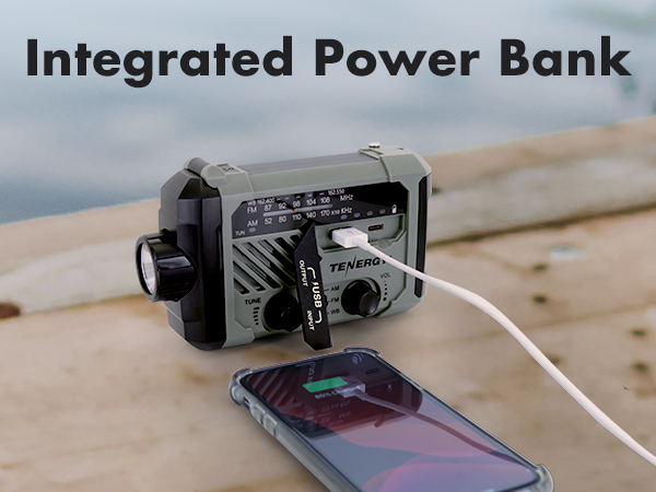 Integrated power bank
