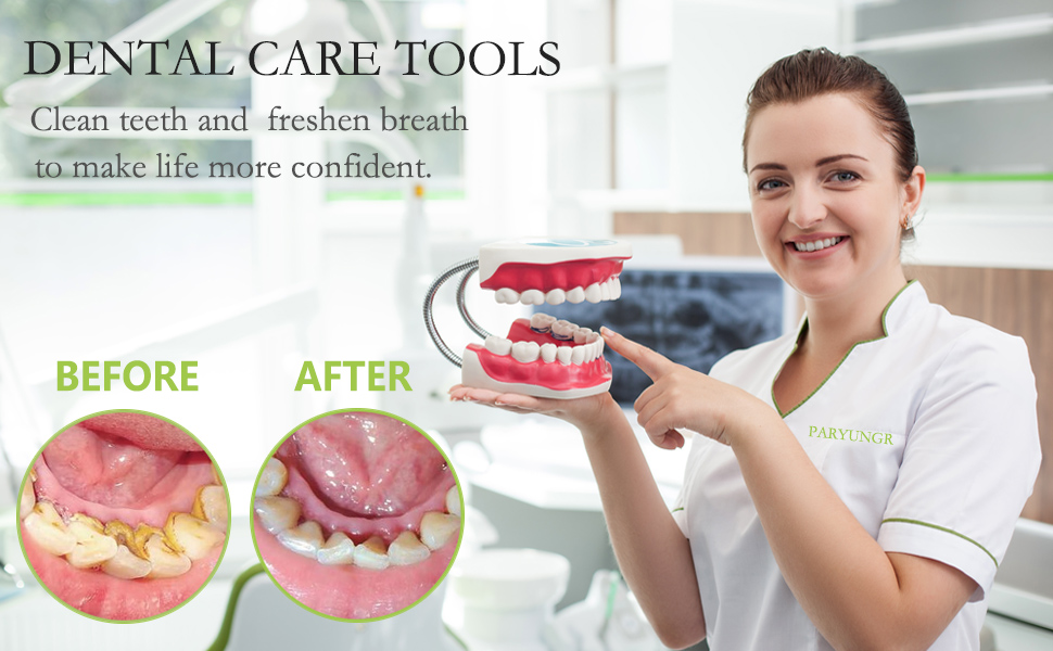 dental floss tooth picks flossers toothpicks sickle for travel child small dog dogs toys with case