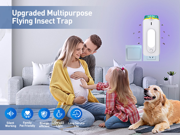 fruit fly traps for indoors