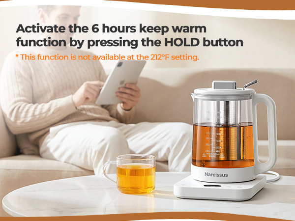 temperature control electric kettle