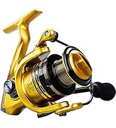 YONGZHI Fishing Reels,13+1BB Light Weight and Ultra Smooth Powerful Spinning Reels for Saltwater ...