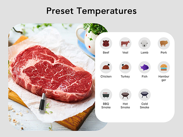 grill thermometer for outside grill