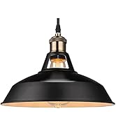 Betorcy Pendant Light Fixtures, Metal Pendant Light, Vintage Ceiling Hanging Lights Fixture, Indu...