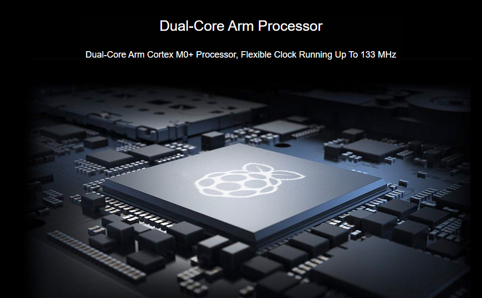 Dual-Core Arm Processor