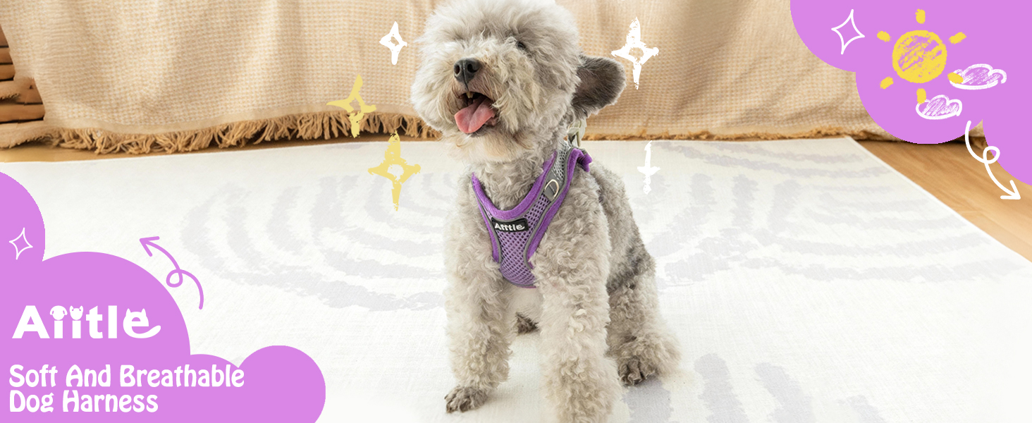 AIITLE No Pull Dog Harness and Leash Set