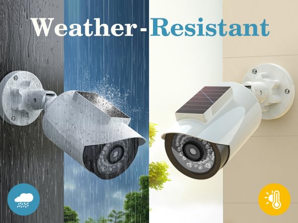 dummy security camera