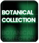 bONTANICAL cOLLECTION