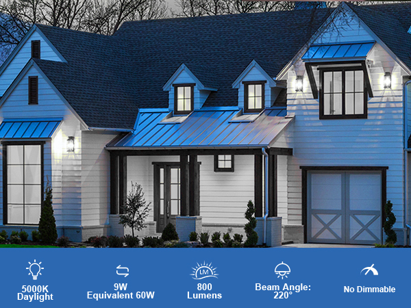 dusk to dawn led outdoor light bulb