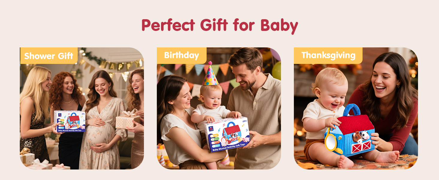 Baby Toys 6-12 Months