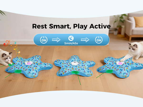 cat toys