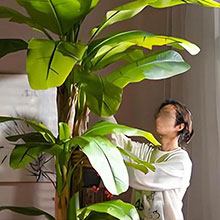 Grow LED bulbs Larger leaves