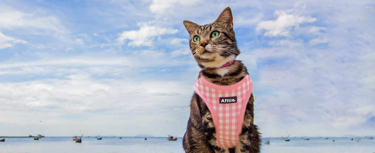 AIITLE Step-in Dog Vest Harness and Leash Set - Summer Mesh Plaid Vest Harness 