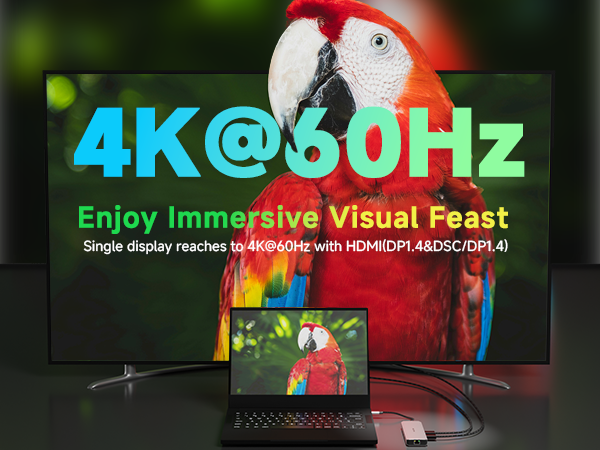 Laptop Docking Station