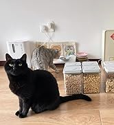 food storage containers with lids airtight