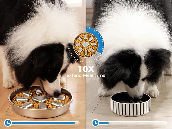 slow feeder dog bowls
