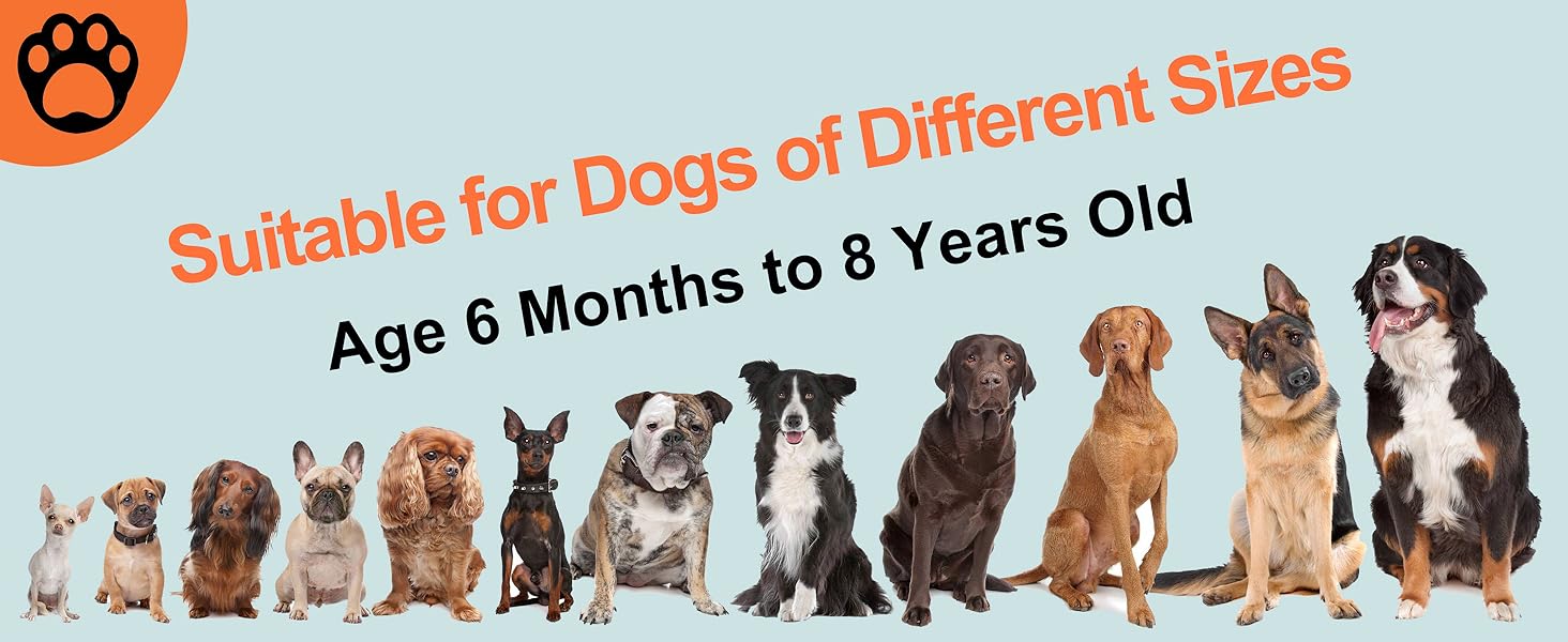 dog barking deterrent outdoor