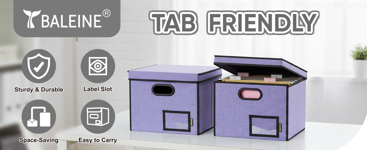 file organizer box