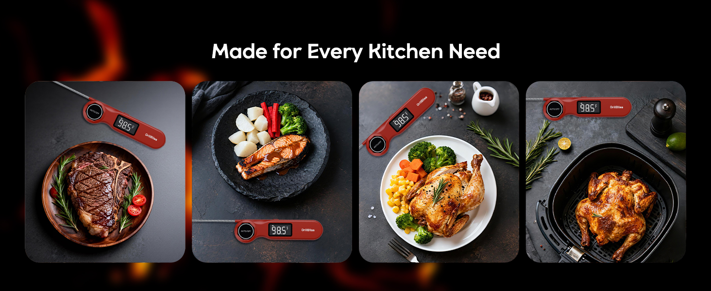 thermometer for cooking