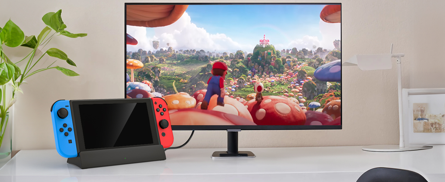 switch dock