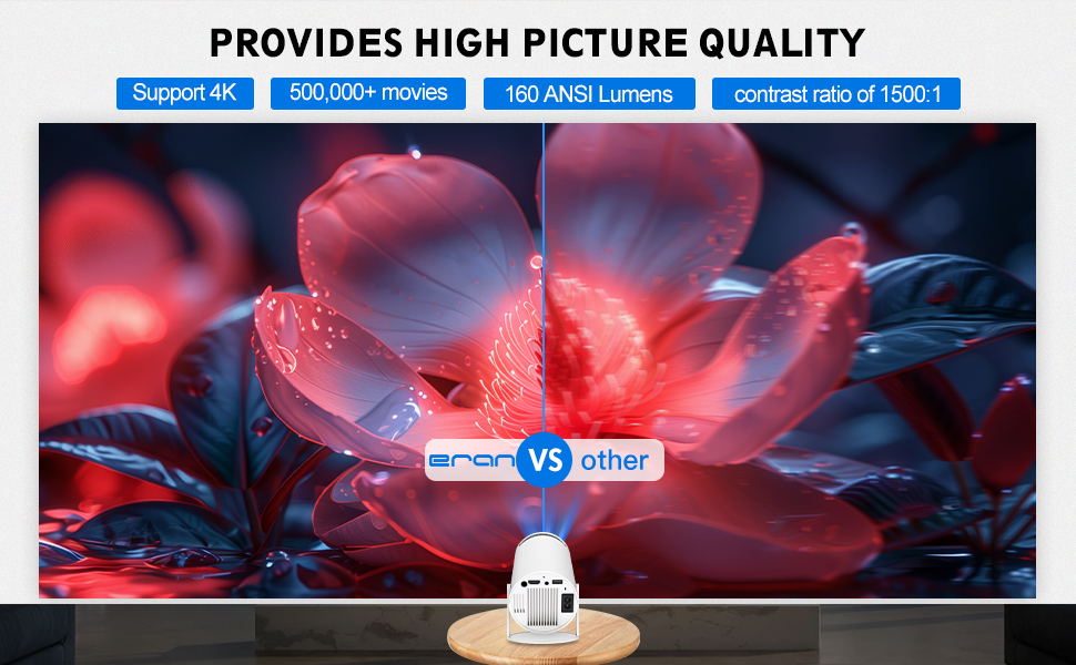 PROVIDES HIGH PICTURE QUALITY