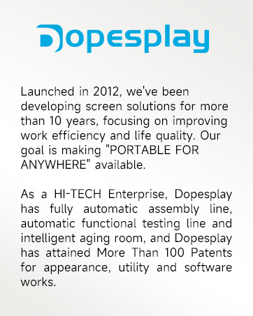 Laptop Screen Extender