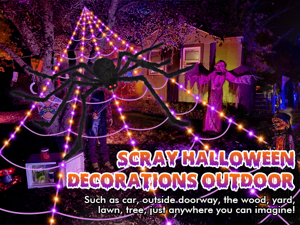 spider web decoration