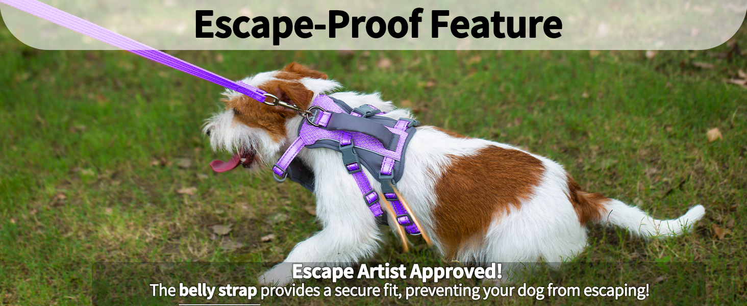 dog harness with handle