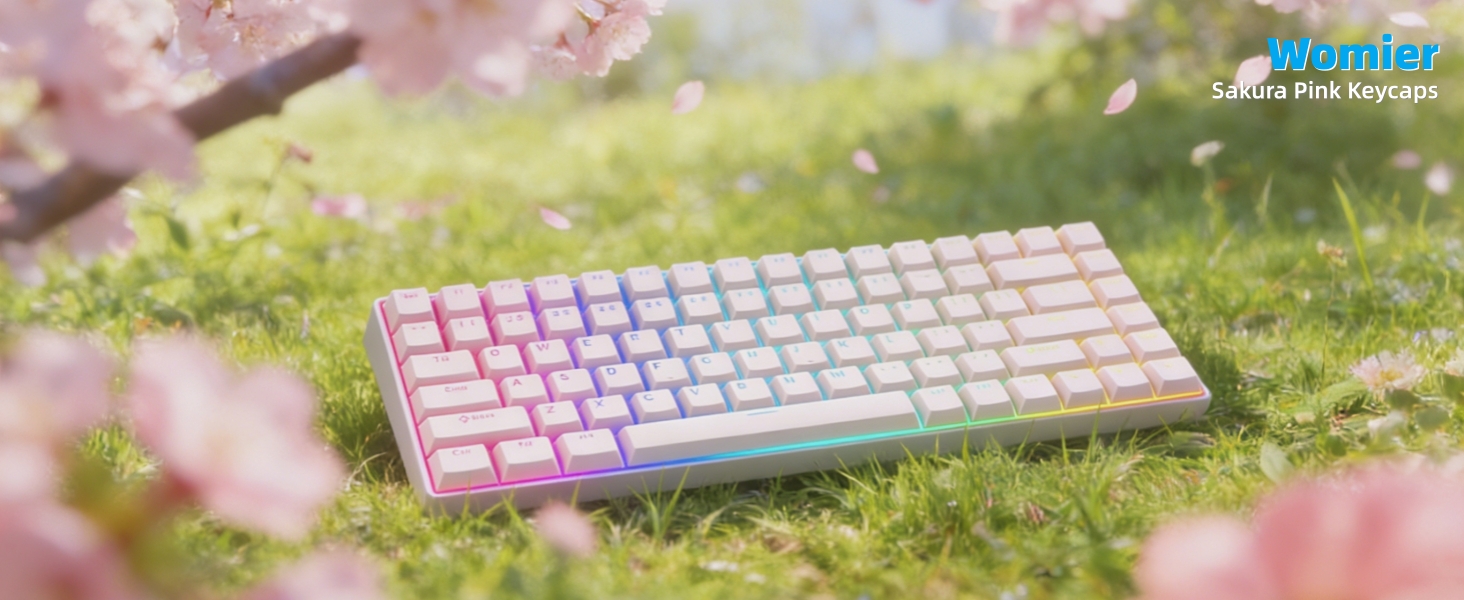 Womier PBT Keycaps for Mechanical Keyboard, Shine Through Key caps PBT Custom Keycap
