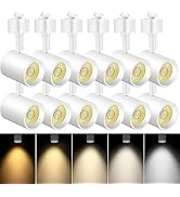 VANoopee 12 Pack 5-Color LED Track Lighting Heads H Type Track Light Heads Dimmable, 2000K 3000K ...
