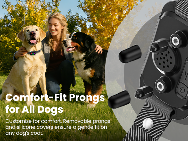 canivix dog training collar