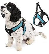Gooby Escape Free Easy Fit Harness - Turquoise, X-Small - No Pull Step-in Patented Small Dog Harn...