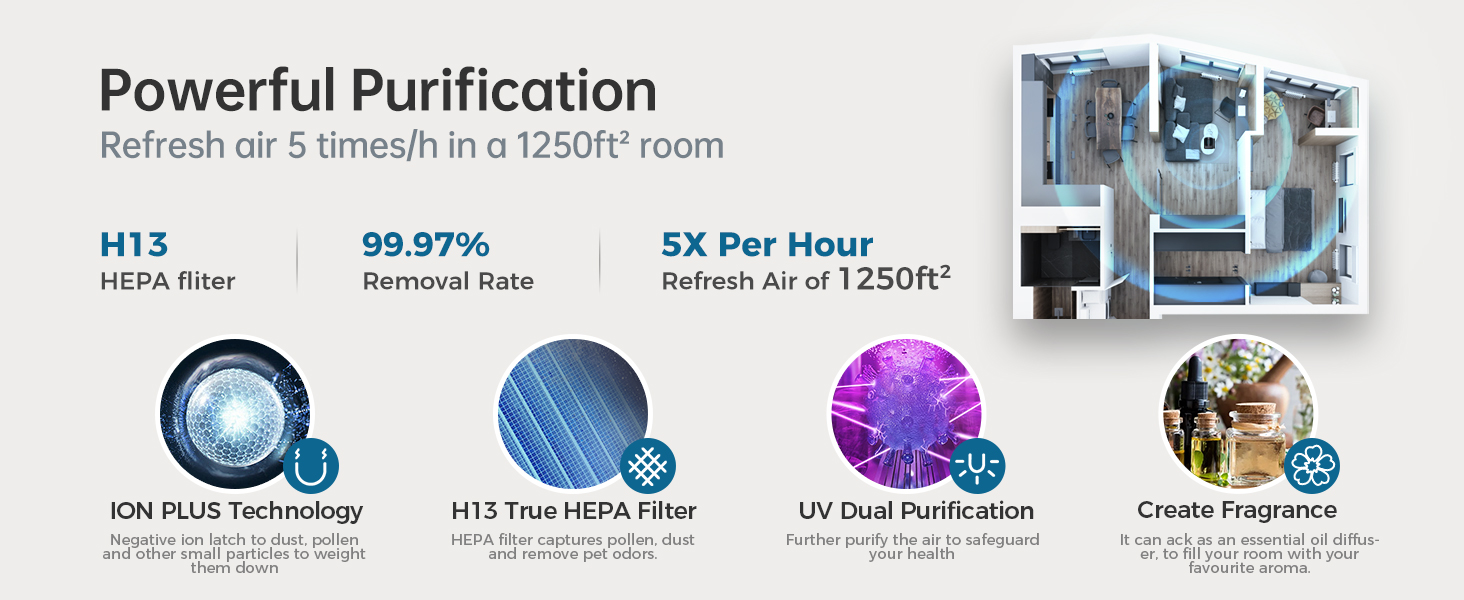 air purifier
