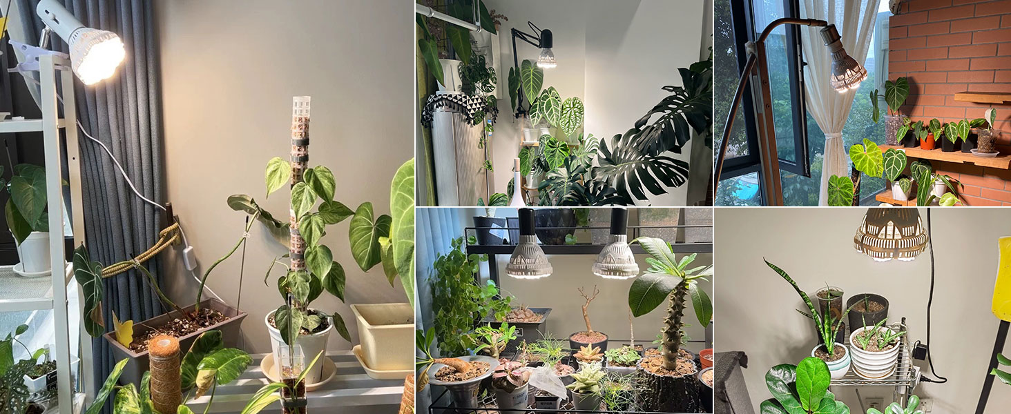 sansi dimmable grow bulb